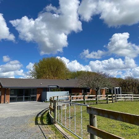 Unique Equestrian Lifestyle Bed & Breakfast Tamahere Exterior photo