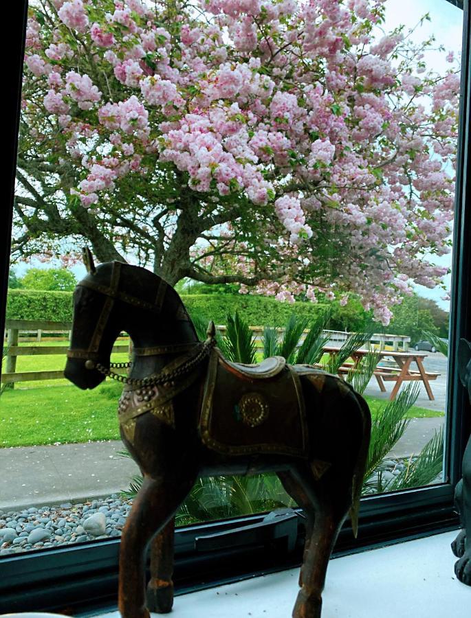 Unique Equestrian Lifestyle Bed & Breakfast Tamahere Exterior photo
