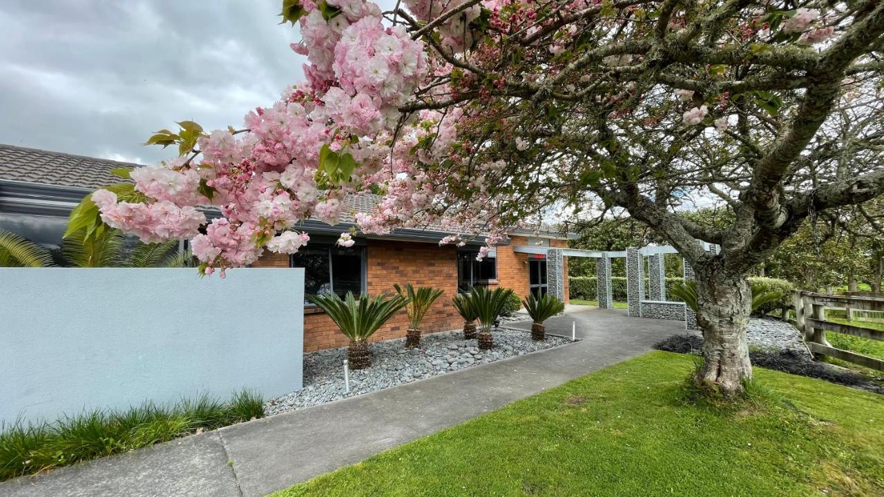 Unique Equestrian Lifestyle Bed & Breakfast Tamahere Exterior photo