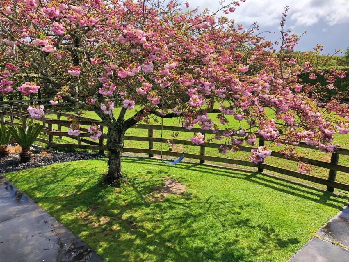 Unique Equestrian Lifestyle Bed & Breakfast Tamahere Exterior photo