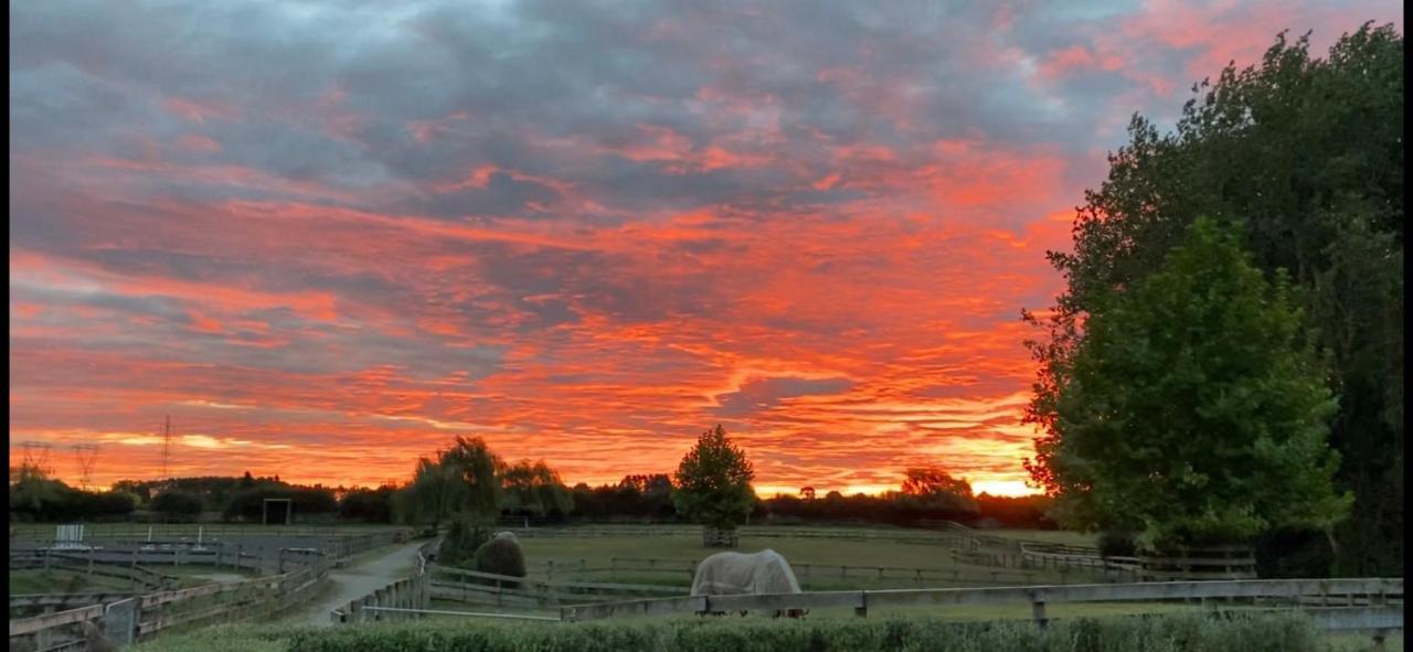 Unique Equestrian Lifestyle Bed & Breakfast Tamahere Exterior photo